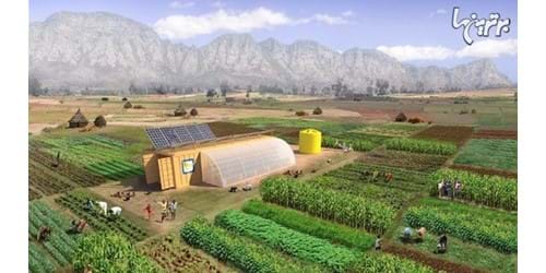 مزرعه خورشیدی که 150 نفر را تغذیه می کند